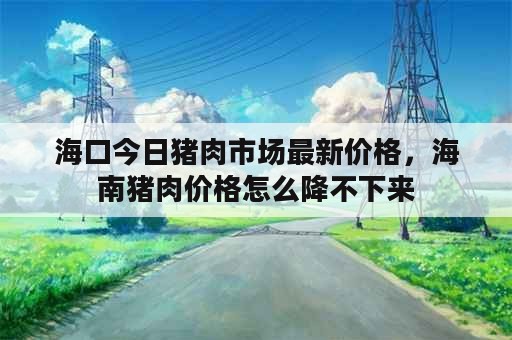 海口今日猪肉市场最新价格，海南猪肉价格怎么降不下来