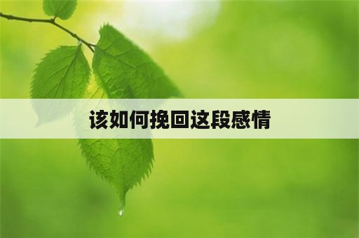 该如何挽回这段感情