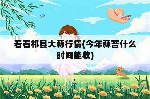 看看祁县大蒜行情(今年蒜苔什么时间能收)