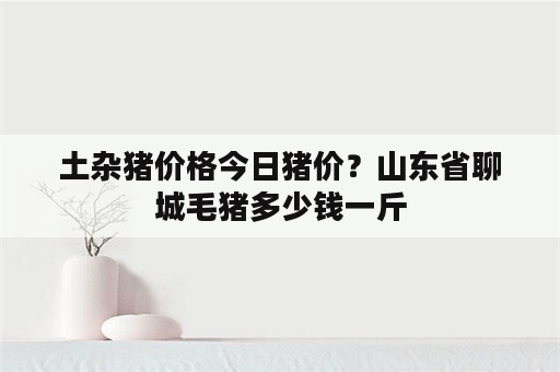 土杂猪价格今日猪价？山东省聊城毛猪多少钱一斤