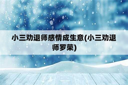 小三劝退师感情成生意(小三劝退师罗荣)