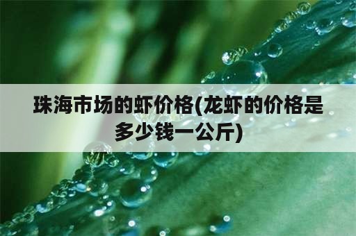 珠海市场的虾价格(龙虾的价格是多少钱一公斤)