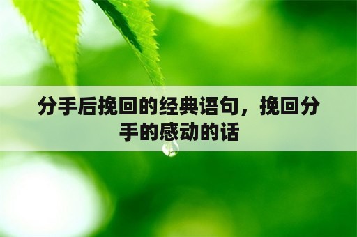 分手后挽回的经典语句，挽回分手的感动的话