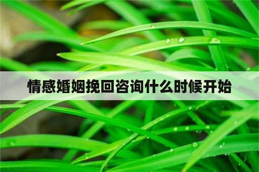 情感婚姻挽回咨询什么时候开始