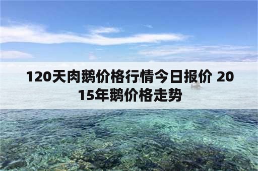 120天肉鹅价格行情今日报价 2015年鹅价格走势