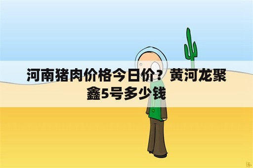 河南猪肉价格今日价？黄河龙聚鑫5号多少钱