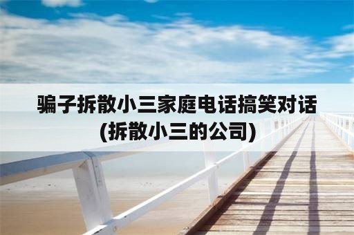 骗子拆散小三家庭电话搞笑对话(拆散小三的公司)