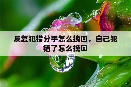 反复犯错分手怎么挽回，自己犯错了怎么挽回