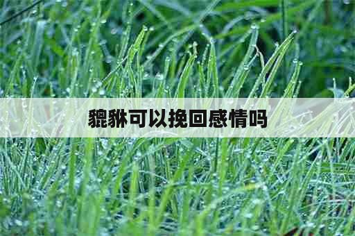 貔貅可以挽回感情吗