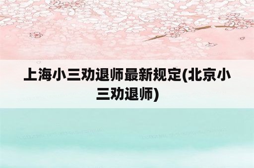 上海小三劝退师最新规定(北京小三劝退师)