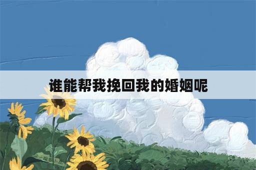 谁能帮我挽回我的婚姻呢