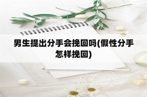 男生提出分手会挽回吗(假性分手怎样挽回)