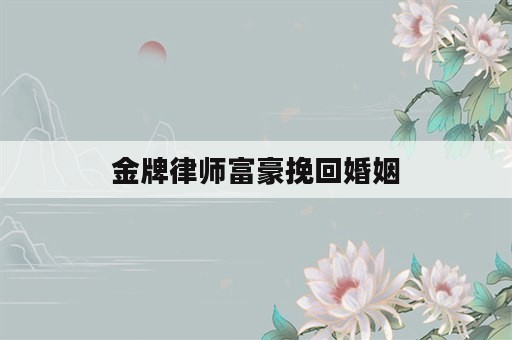 金牌律师富豪挽回婚姻