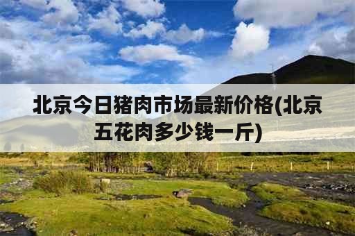 北京今日猪肉市场最新价格(北京五花肉多少钱一斤)