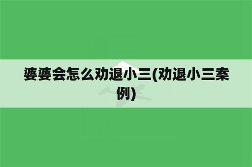 婆婆会怎么劝退小三(劝退小三案例)