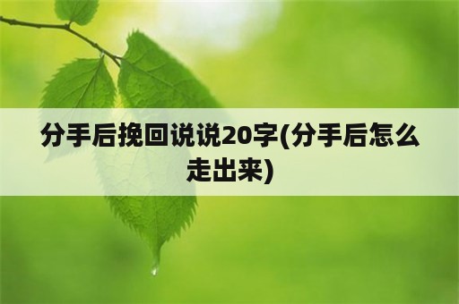 分手后挽回说说20字(分手后怎么走出来)