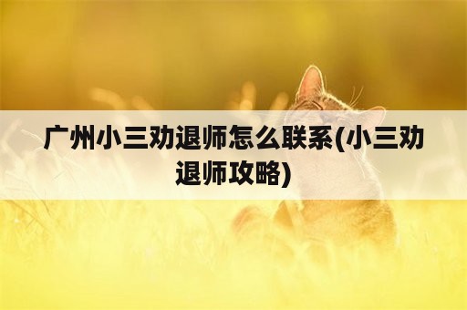 广州小三劝退师怎么联系(小三劝退师攻略)