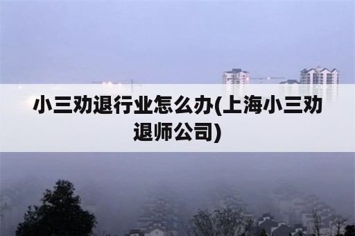 小三劝退行业怎么办(上海小三劝退师公司)