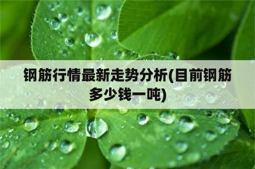 钢筋行情最新走势分析(目前钢筋多少钱一吨)