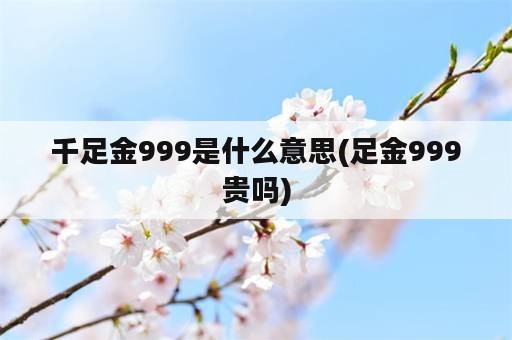 千足金999是什么意思(足金999贵吗)