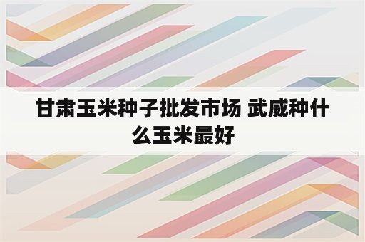 甘肃玉米种子批发市场 武威种什么玉米最好