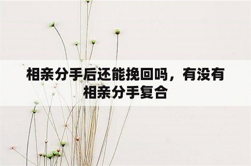 相亲分手后还能挽回吗，有没有相亲分手复合