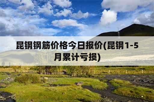 昆钢钢筋价格今日报价(昆钢1-5月累计亏损)