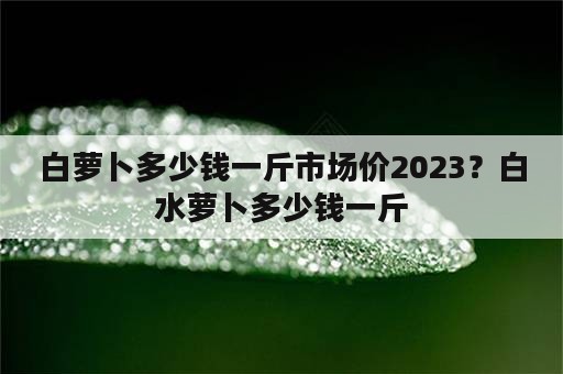 白萝卜多少钱一斤市场价2023？白水萝卜多少钱一斤