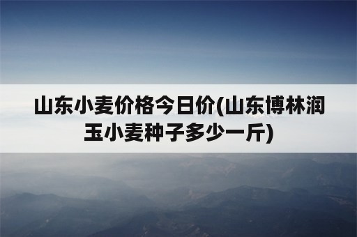 山东小麦价格今日价(山东博林润玉小麦种子多少一斤)