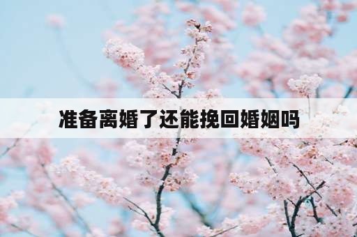 准备离婚了还能挽回婚姻吗