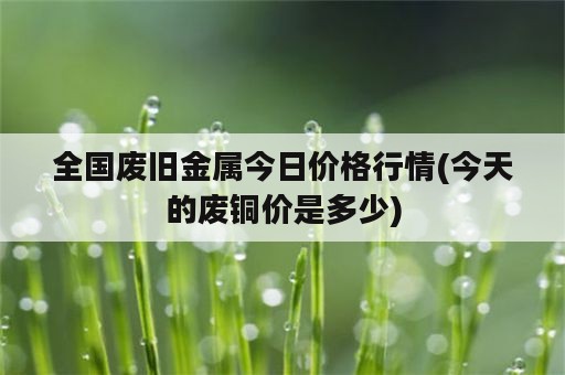 全国废旧金属今日价格行情(今天的废铜价是多少)