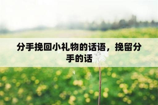 分手挽回小礼物的话语，挽留分手的话