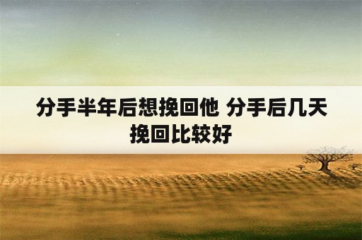 分手半年后想挽回他 分手后几天挽回比较好