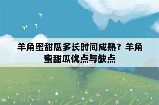 羊角蜜甜瓜多长时间成熟？羊角蜜甜瓜优点与缺点