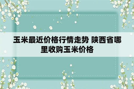 玉米最近价格行情走势 陕西省哪里收购玉米价格