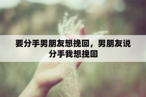 要分手男朋友想挽回，男朋友说分手我想挽回