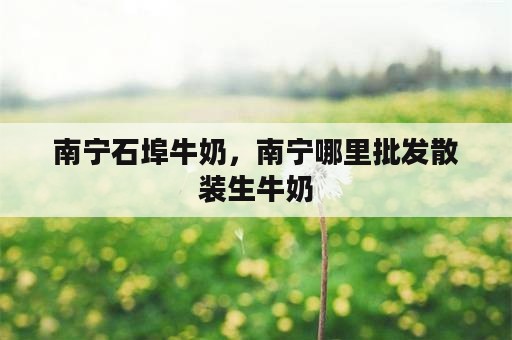 南宁石埠牛奶，南宁哪里批发散装生牛奶