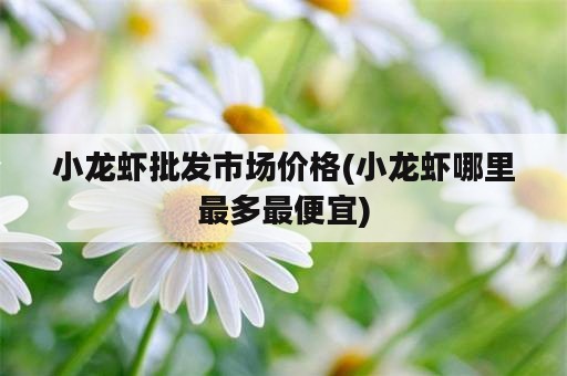 小龙虾批发市场价格(小龙虾哪里最多最便宜)