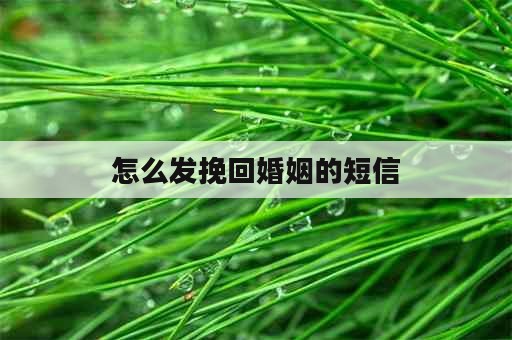 怎么发挽回婚姻的短信