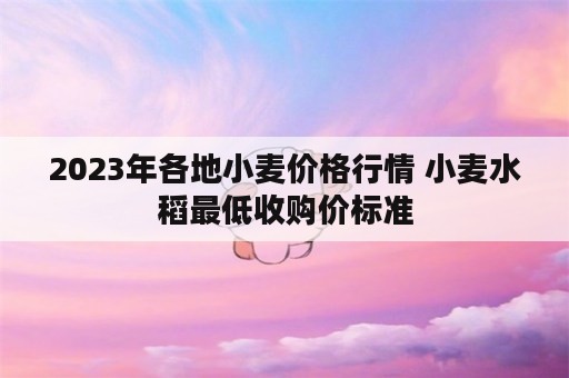 2023年各地小麦价格行情 小麦水稻最低收购价标准