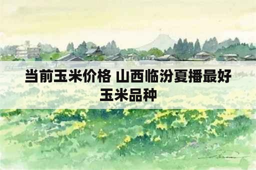 当前玉米价格 山西临汾夏播最好玉米品种