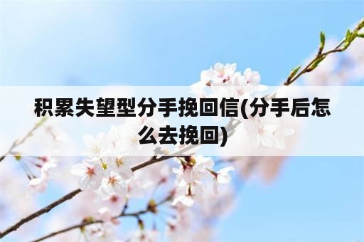 积累失望型分手挽回信(分手后怎么去挽回)