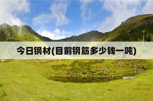 今日钢材(目前钢筋多少钱一吨)