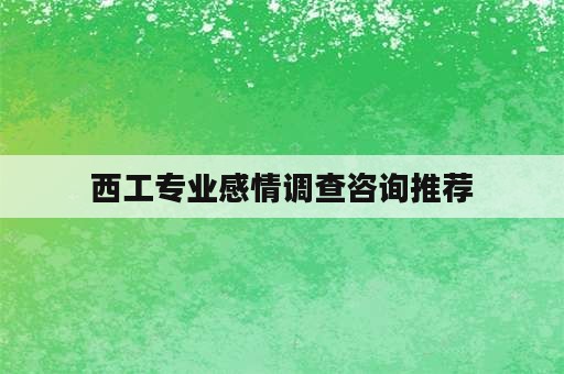 西工专业感情调查咨询推荐