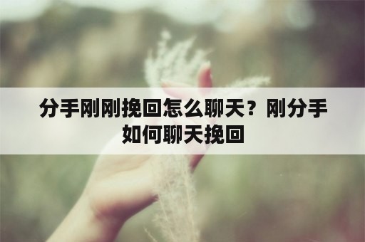 分手刚刚挽回怎么聊天？刚分手如何聊天挽回