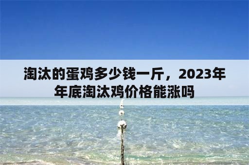 淘汰的蛋鸡多少钱一斤，2023年年底淘汰鸡价格能涨吗