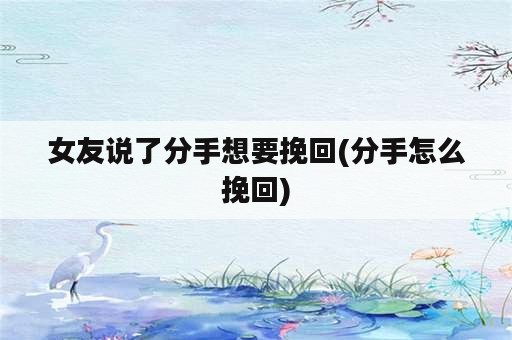 女友说了分手想要挽回(分手怎么挽回)