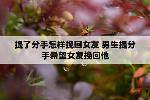 提了分手怎样挽回女友 男生提分手希望女友挽回他