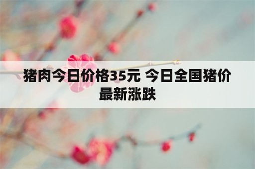 猪肉今日价格35元 今日全国猪价最新涨跌