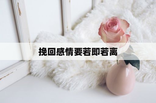 挽回感情要若即若离